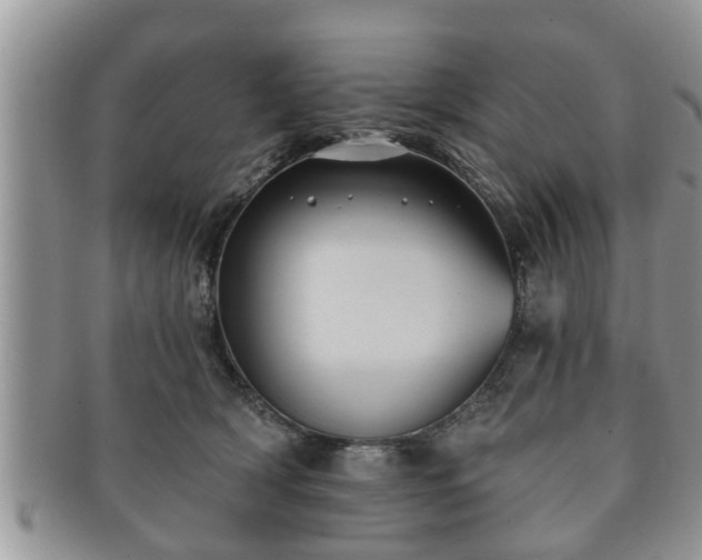 X0000091170418200708161502