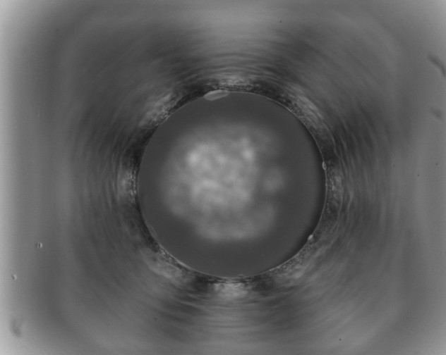 X0000091170419200708161502