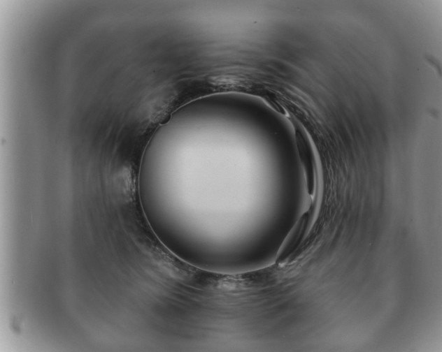 X0000091170420200708161502