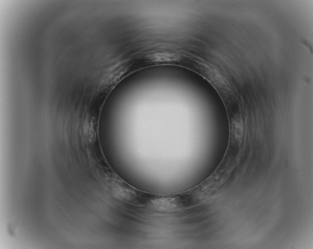 X0000091170422200708161502