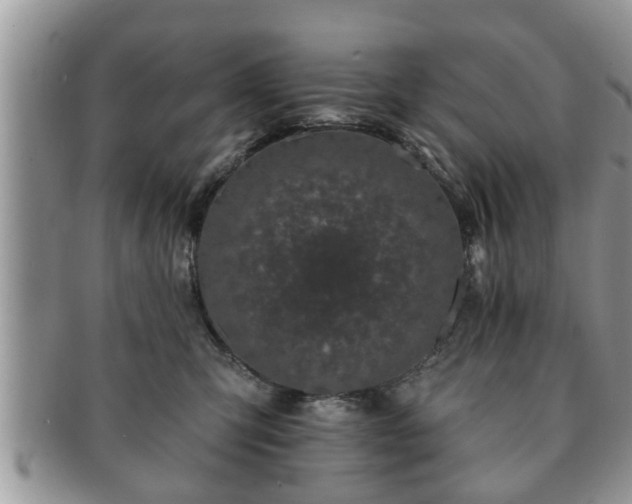 X0000091170423200708161502