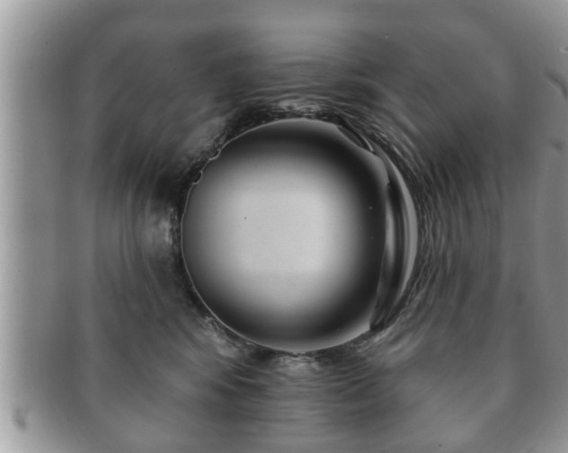 X0000091170424200708161502