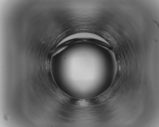 X0000091170425200708161502