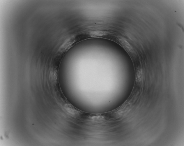 X0000091170426200708161502