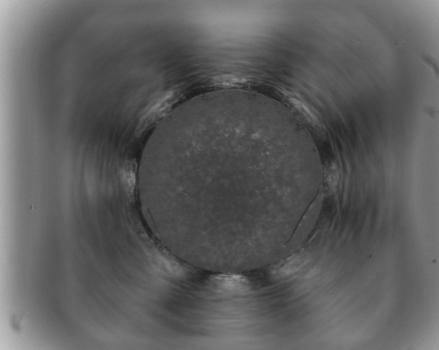 X0000091170427200708161502