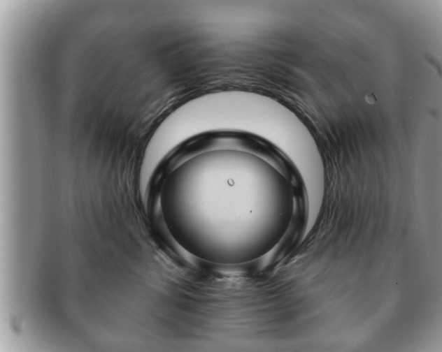 X0000091170428200708161502