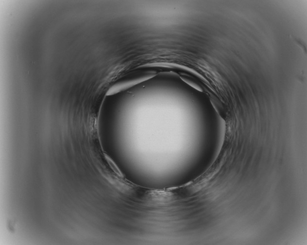 X0000091170429200708161502