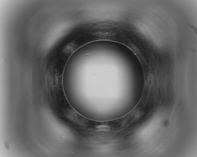 X0000091170430200708161502