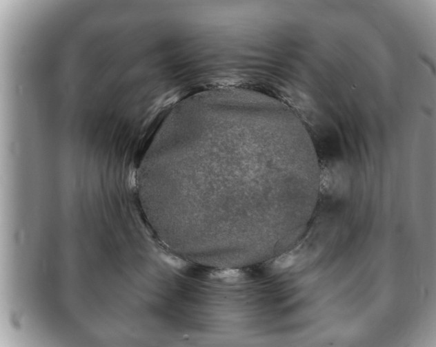 X0000091170431200708161502