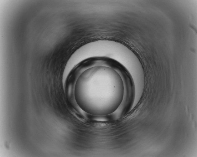 X0000091170432200708161502