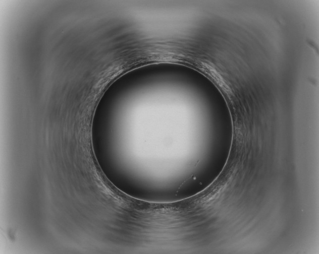 X0000091170433200708161501