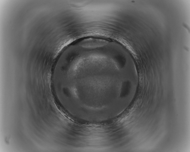 X0000091170434200708161501