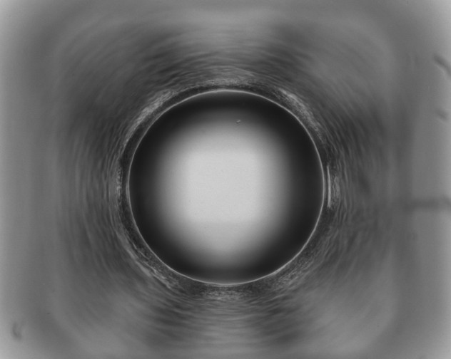 X0000091170435200708161501