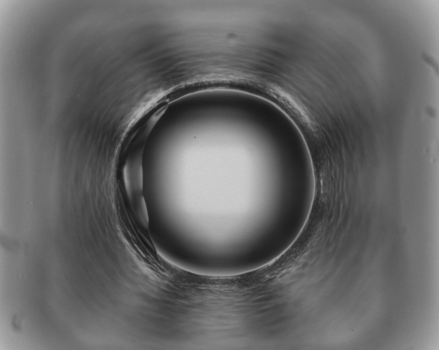 X0000091170436200708161501