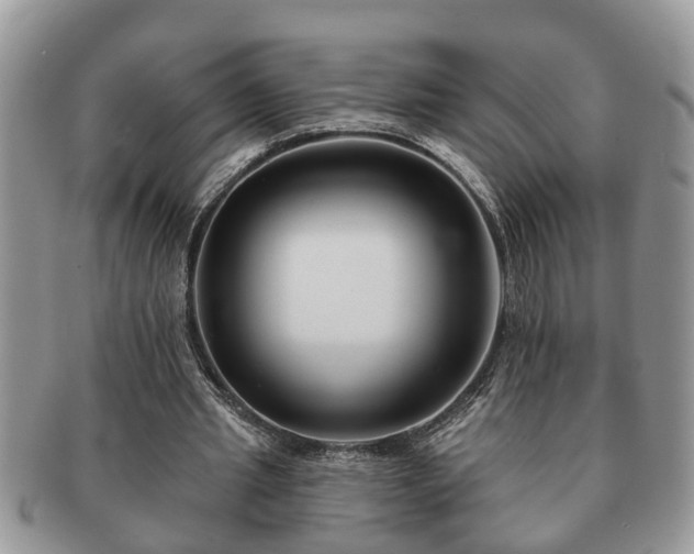 X0000091170437200708161501