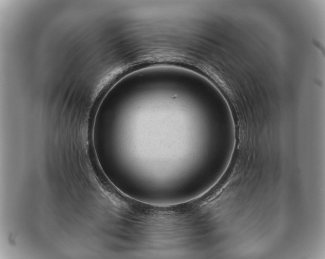 X0000091170438200708161501