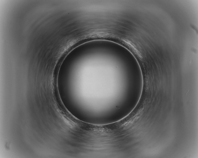 X0000091170439200708161502