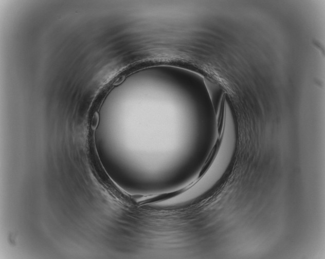 X0000091170440200708161502