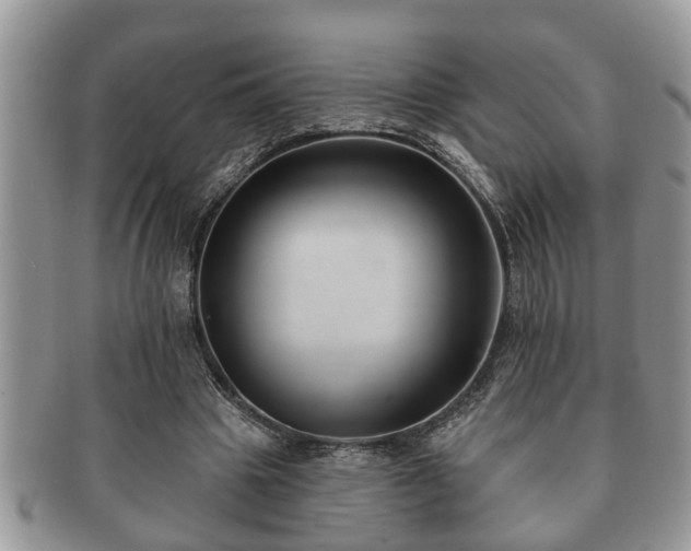 X0000091170441200708161502