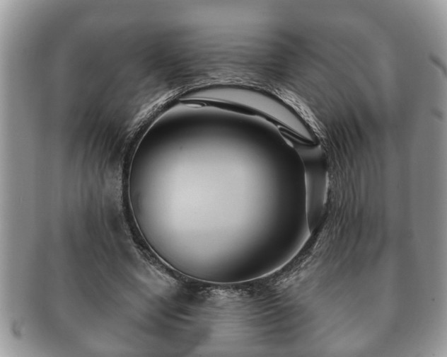 X0000091170442200708161502