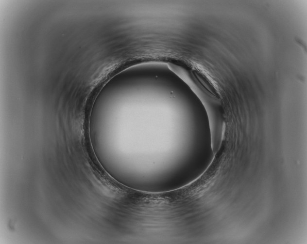 X0000091170443200708161502