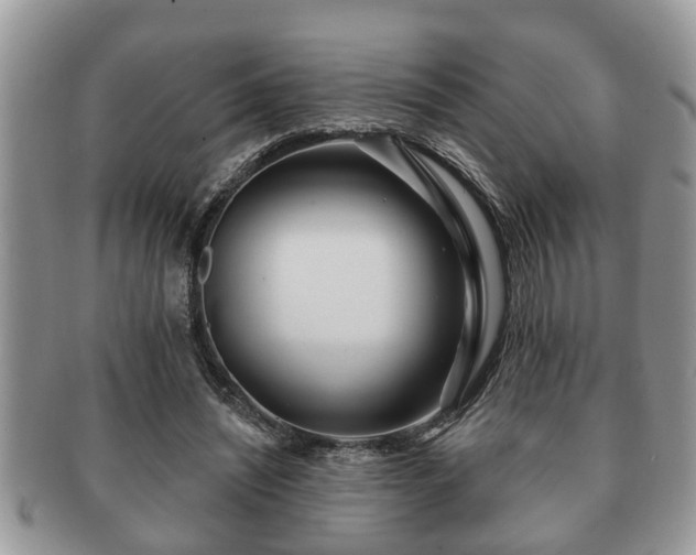 X0000091170444200708161502