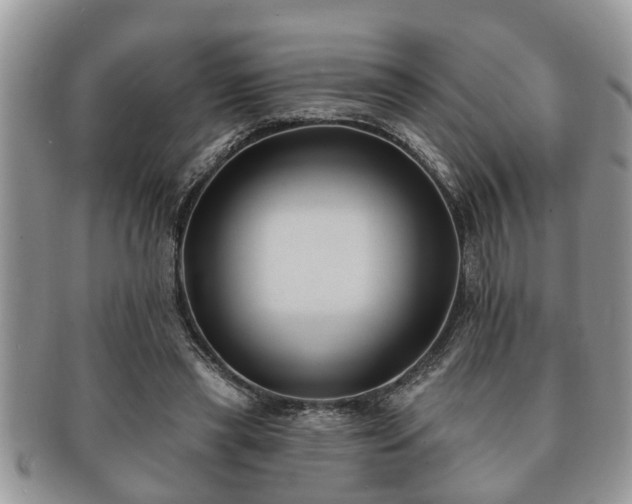 X0000091170445200708161502