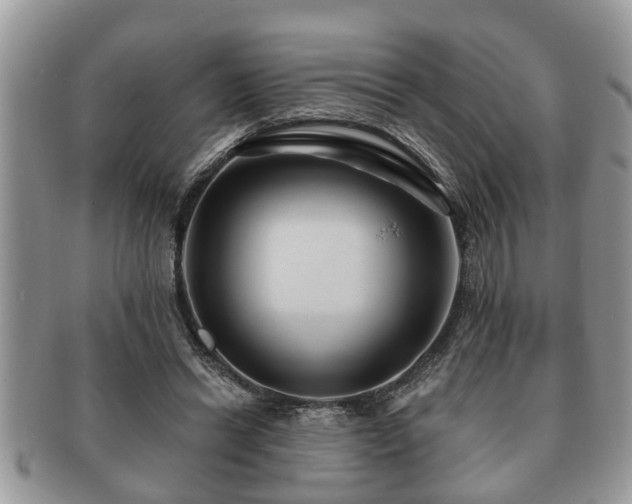 X0000091170446200708161502