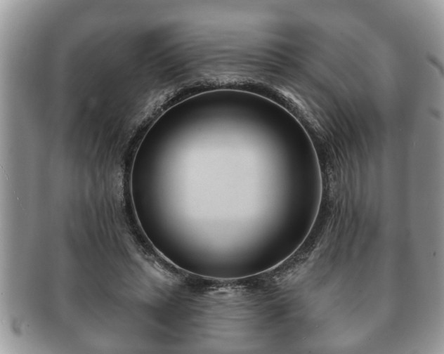 X0000091170447200708161502