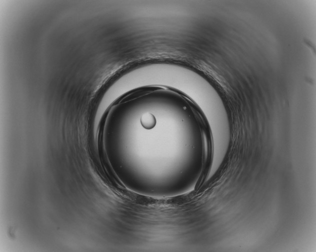 X0000091170448200708161502