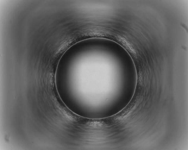 X0000091170449200708161502