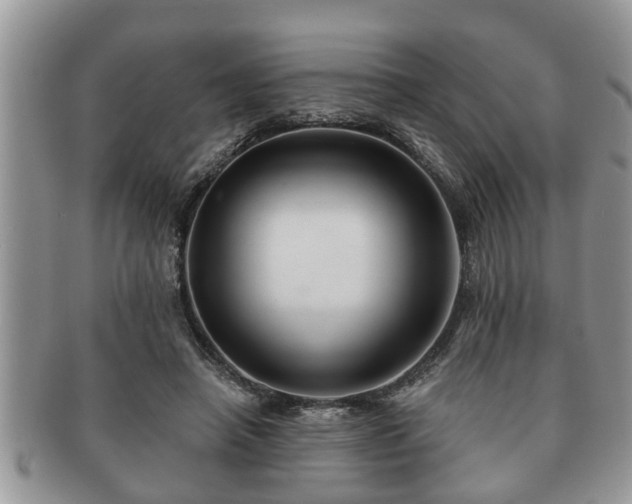 X0000091170450200708161502