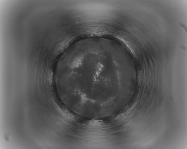 X0000091170451200708161502