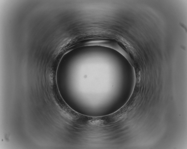 X0000091170452200708161502