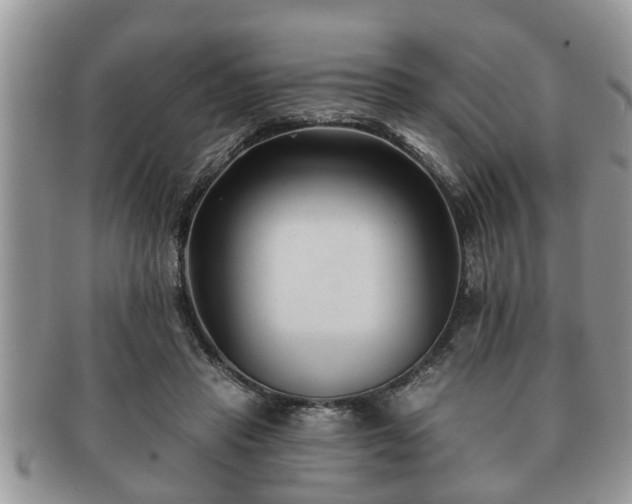 X0000091170453200708161502