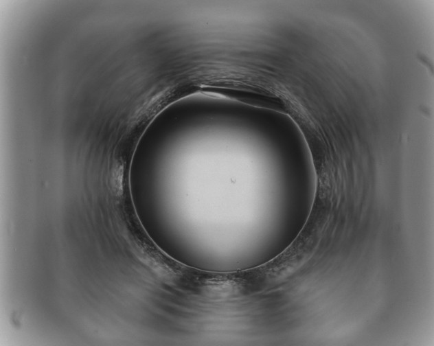 X0000091170454200708161502