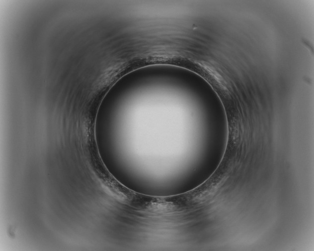 X0000091170455200708161502