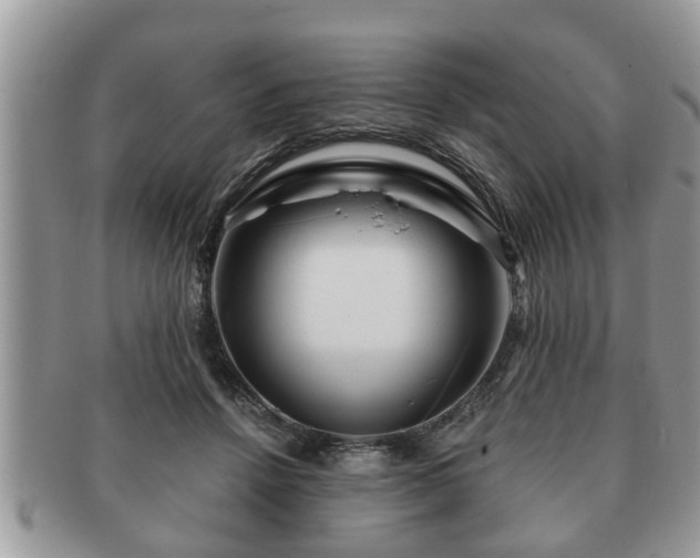 X0000091170456200708161502