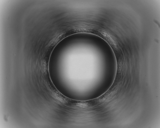 X0000091170457200708161502