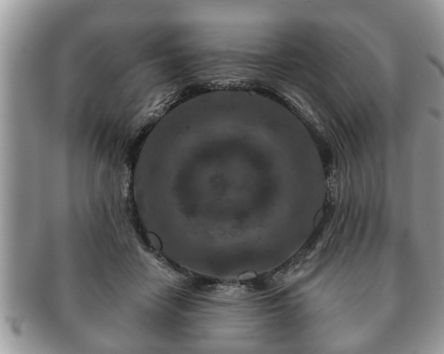 X0000091170458200708161502