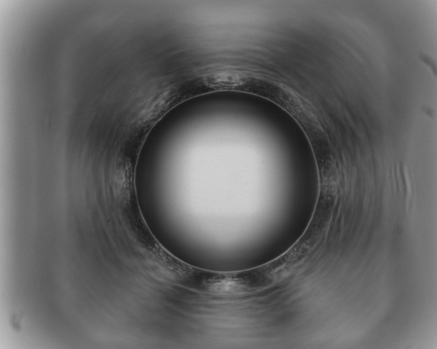 X0000091170460200708161502