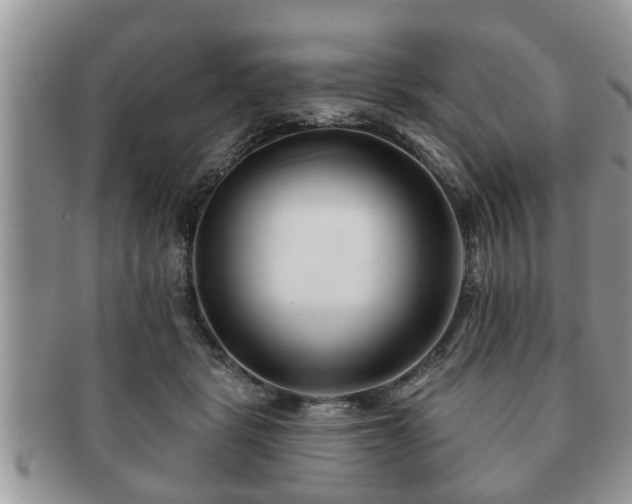 X0000091170461200708161502