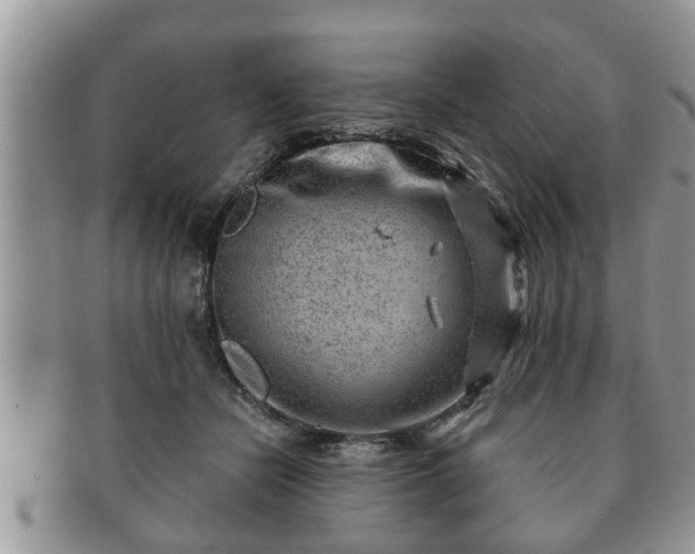 X0000091170462200708161502