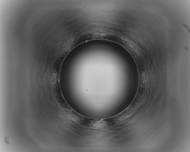 X0000091170463200708161502