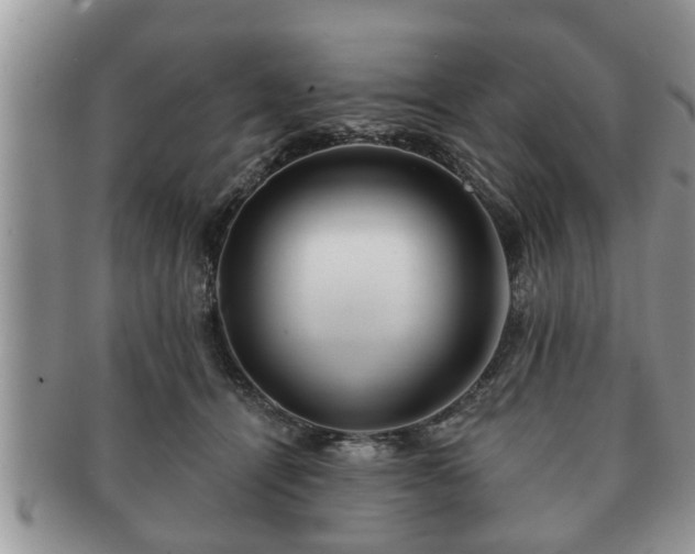 X0000091170464200708161502