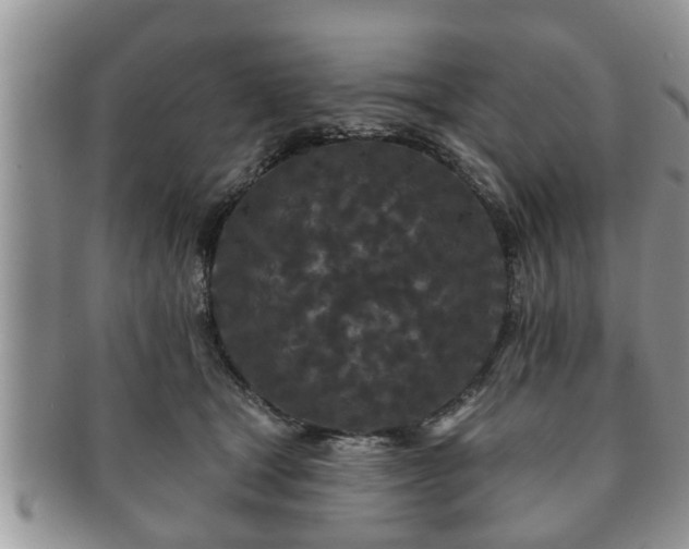 X0000091170465200708161502