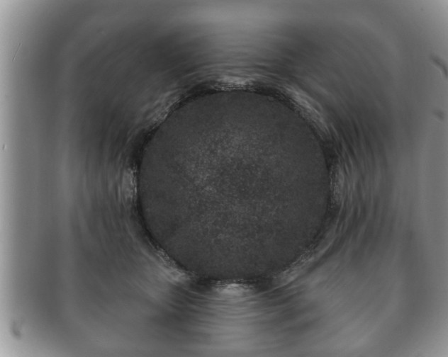 X0000091170467200708161502