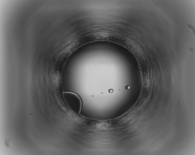 X0000091170468200708161502