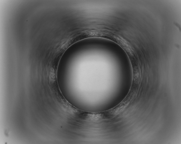 X0000091170469200708161502