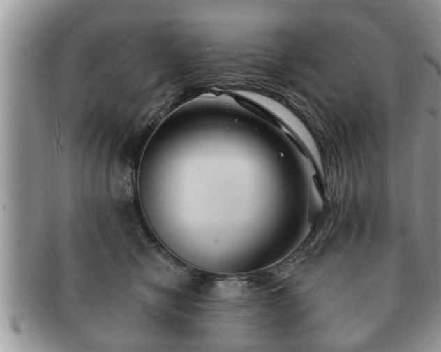 X0000091170470200708161502